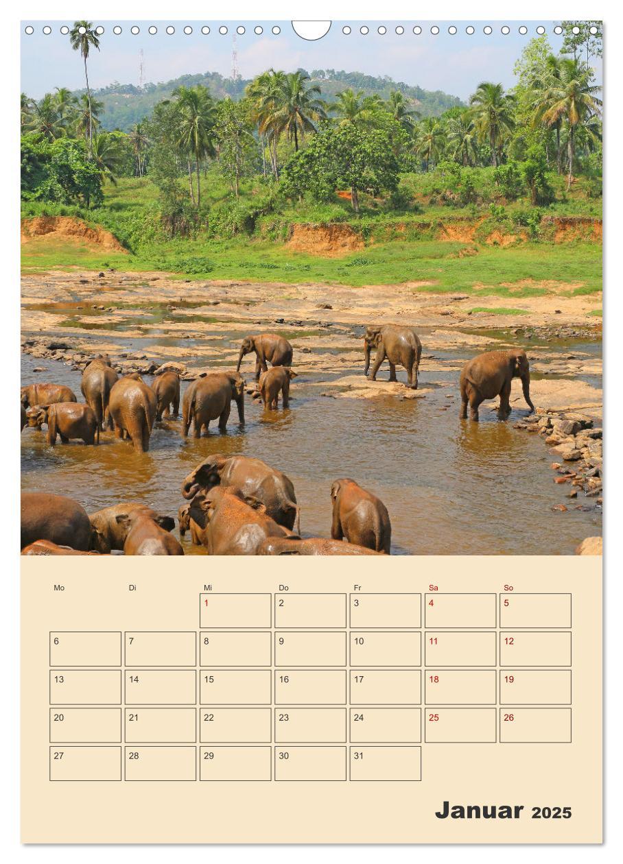 Bild: 9783435884612 | Sri Lanka - Terminplaner (Wandkalender 2025 DIN A3 hoch), CALVENDO...