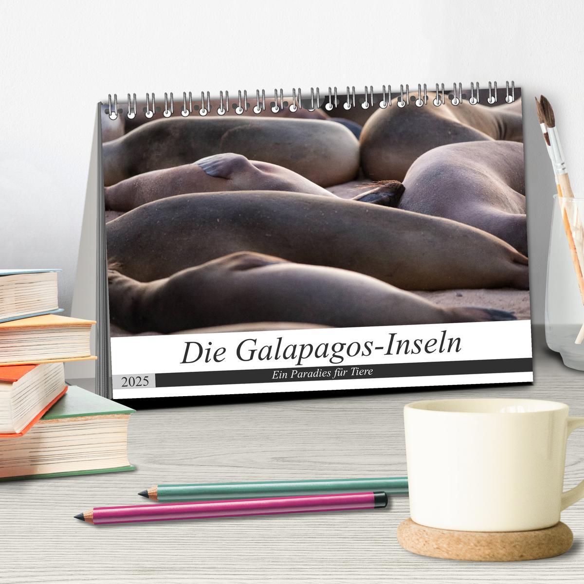 Bild: 9783435321148 | Galapagos-Inseln - Ein Paradies für Tiere (Tischkalender 2025 DIN...