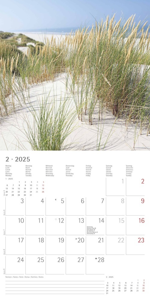 Bild: 4251732340889 | Alpha Edition - Seeblick 2025 Broschürenkalender, 30x30cm,...