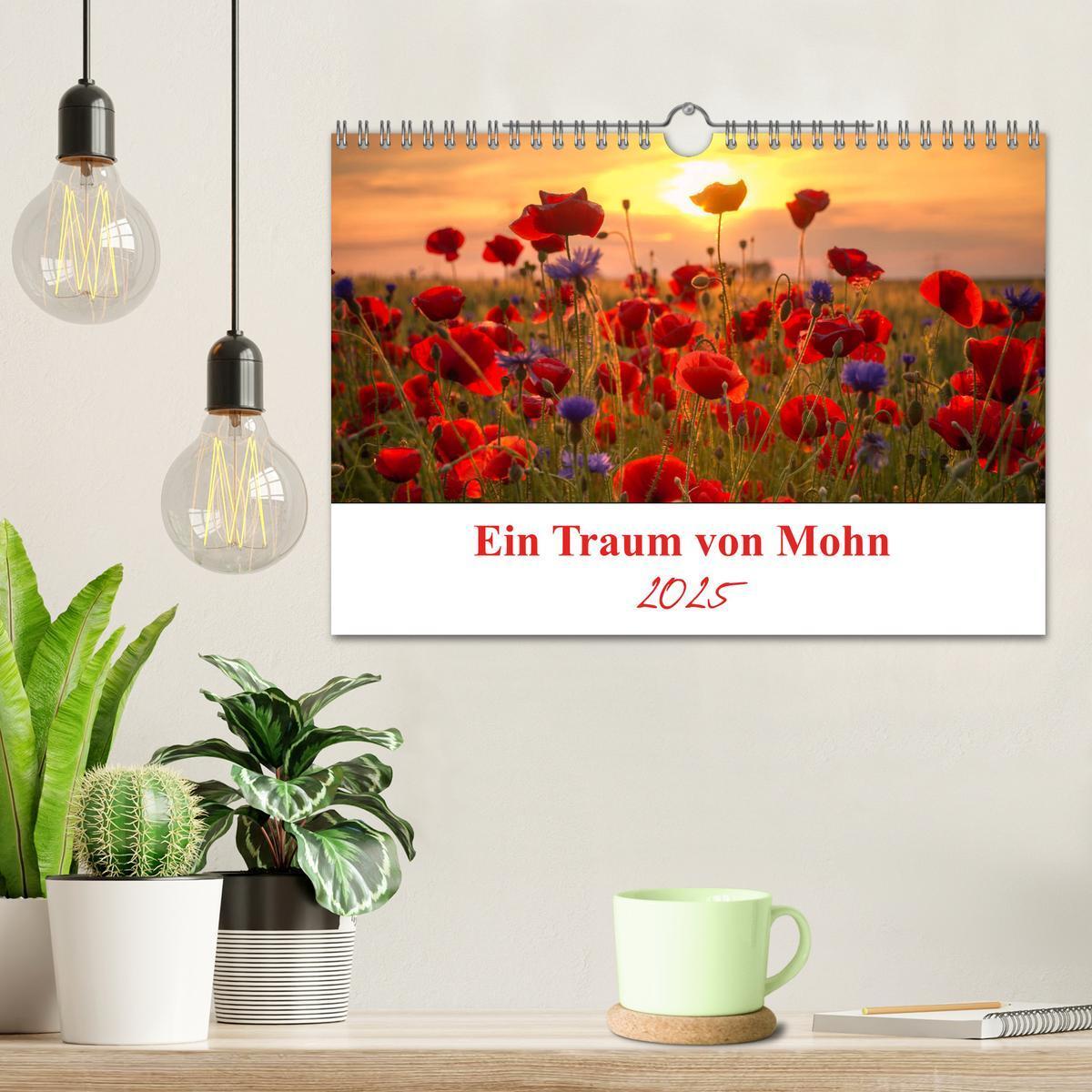 Bild: 9783435218646 | Ein Traum von Mohn (Wandkalender 2025 DIN A4 quer), CALVENDO...