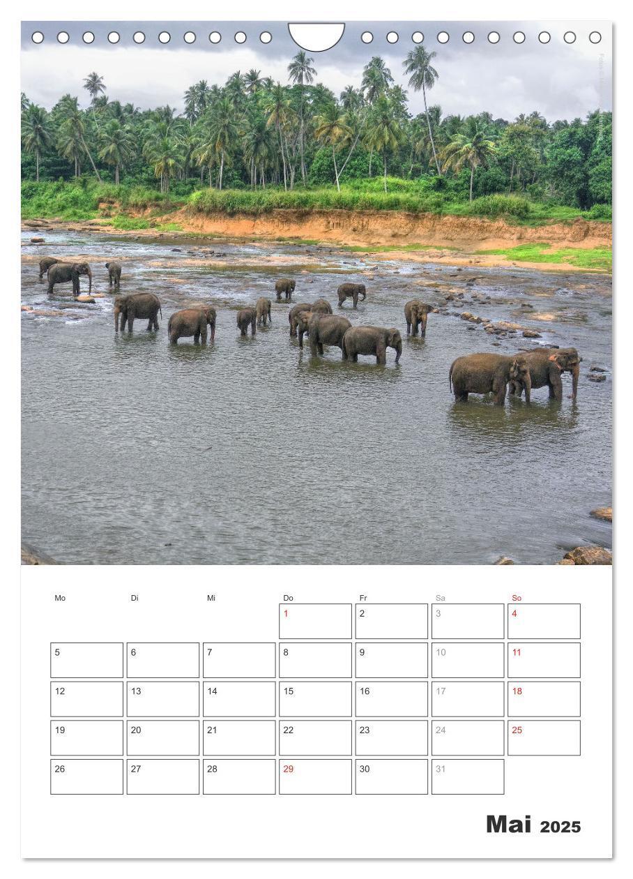 Bild: 9783457051498 | Sri Lanka 2025 - Exotisches Paradies - Jahresplaner (Wandkalender...