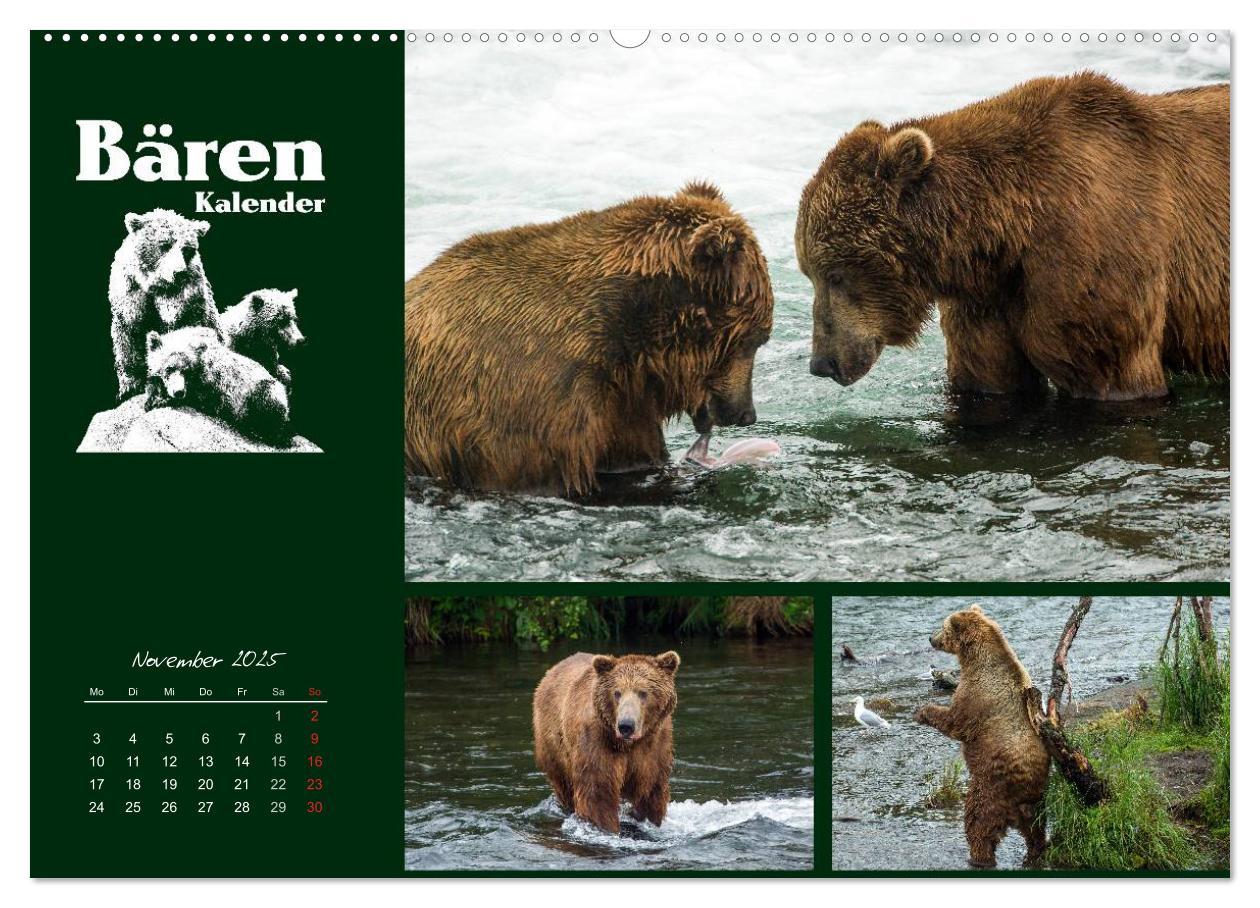 Bild: 9783435709519 | Bärenkalender (Wandkalender 2025 DIN A2 quer), CALVENDO Monatskalender