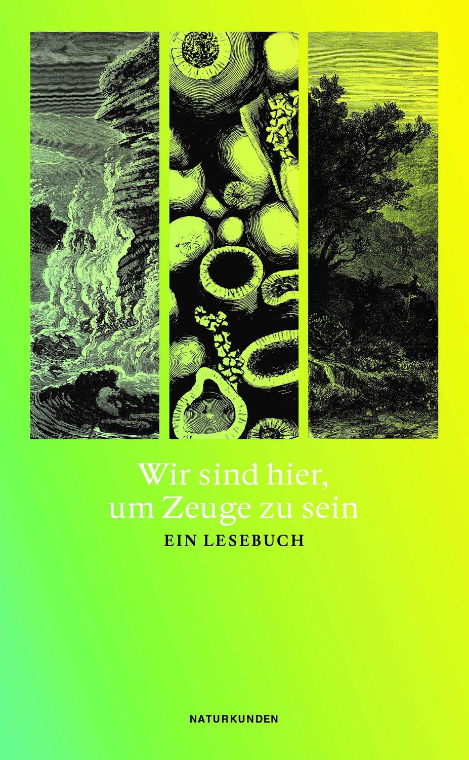 Cover: 9783751840088 | Wir sind hier, um Zeuge zu sein | Ein Lesebuch | Judith Schalansky