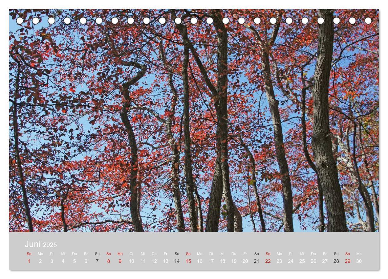 Bild: 9783435682812 | Indian Summer in New England (Tischkalender 2025 DIN A5 quer),...