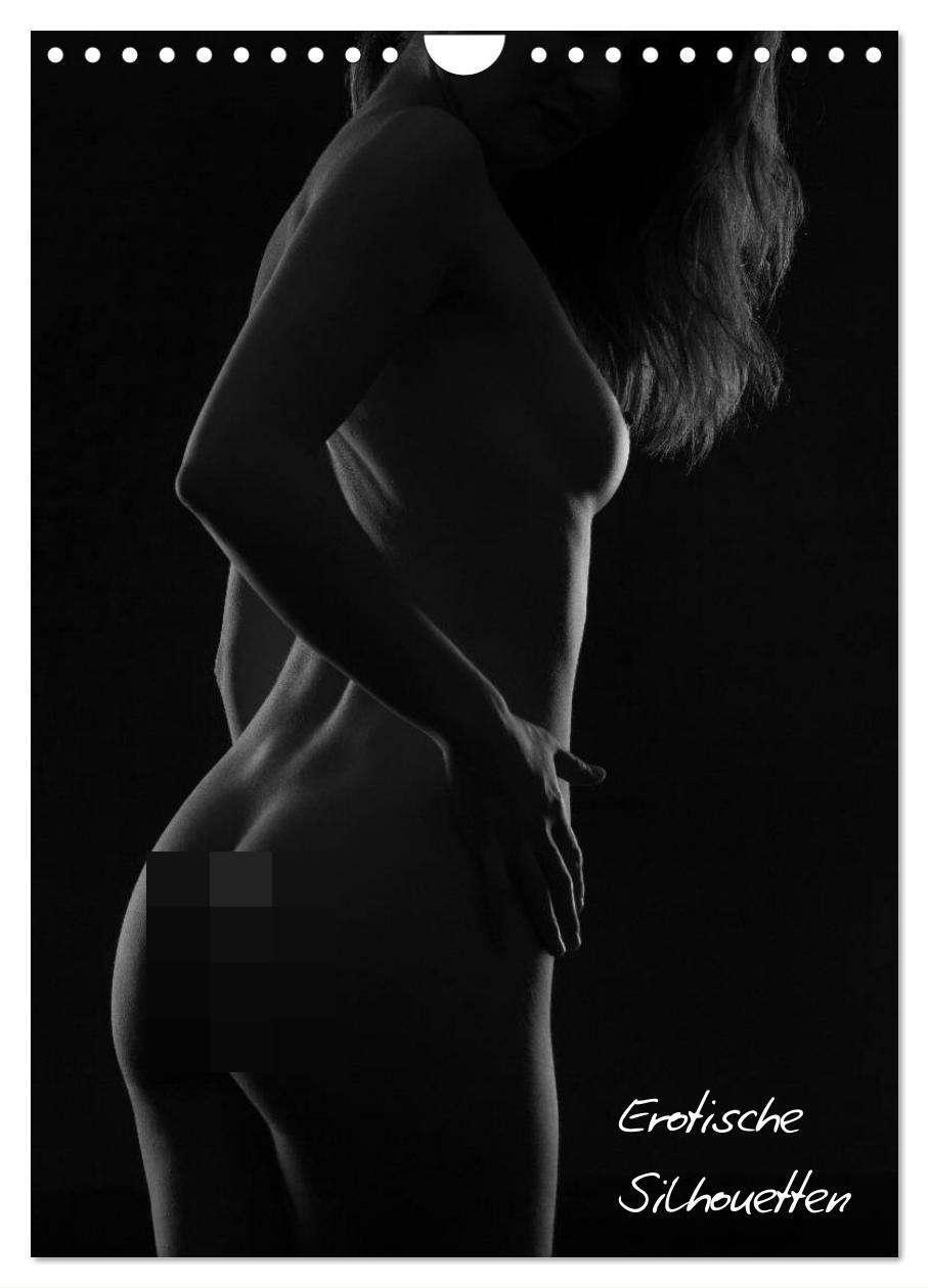 Cover: 9783457081389 | Erotische Silhouetten / CH-Version (Wandkalender 2025 DIN A4 hoch),...