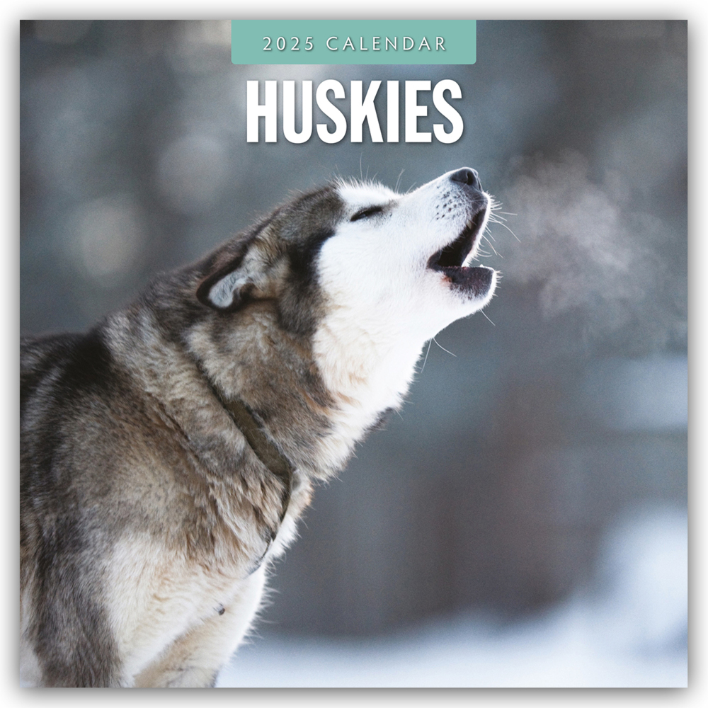 Cover: 9781804424759 | Huskies - Husky - Huskys 2025 - 16-Monatskalender | Ltd | Kalender