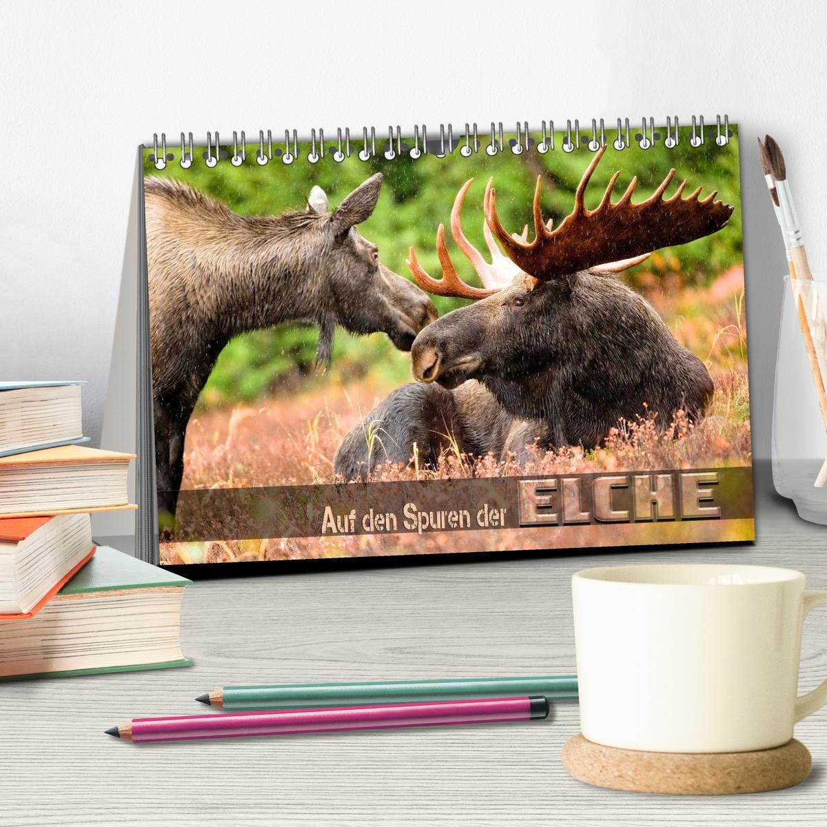 Bild: 9783383943720 | Auf den Spuren der Elche (Tischkalender 2025 DIN A5 quer), CALVENDO...