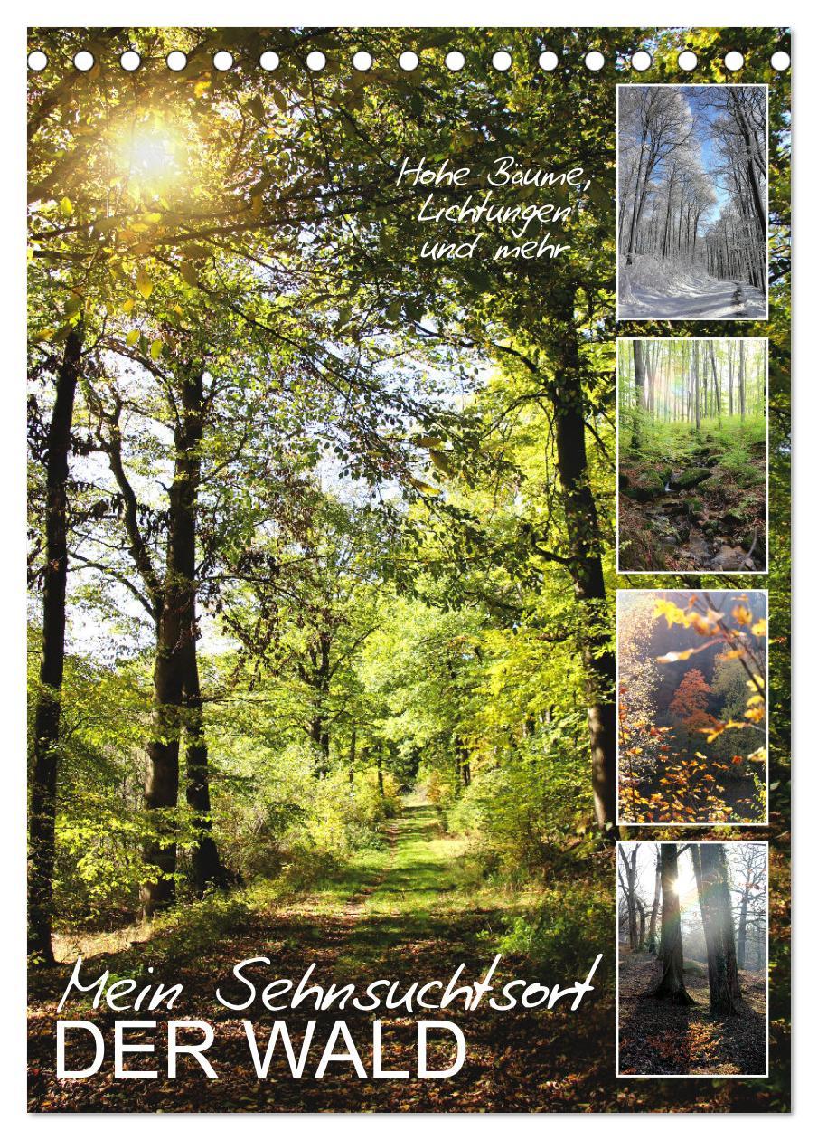 Cover: 9783435927029 | Mein Sehnsuchtsort, der Wald (Tischkalender 2025 DIN A5 hoch),...