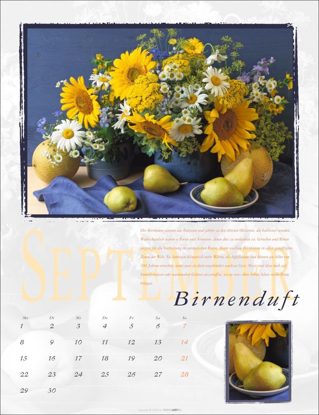 Bild: 9783839901373 | Duftkalender 2025 | Kalender | Spiralbindung | 14 S. | Deutsch | 2025