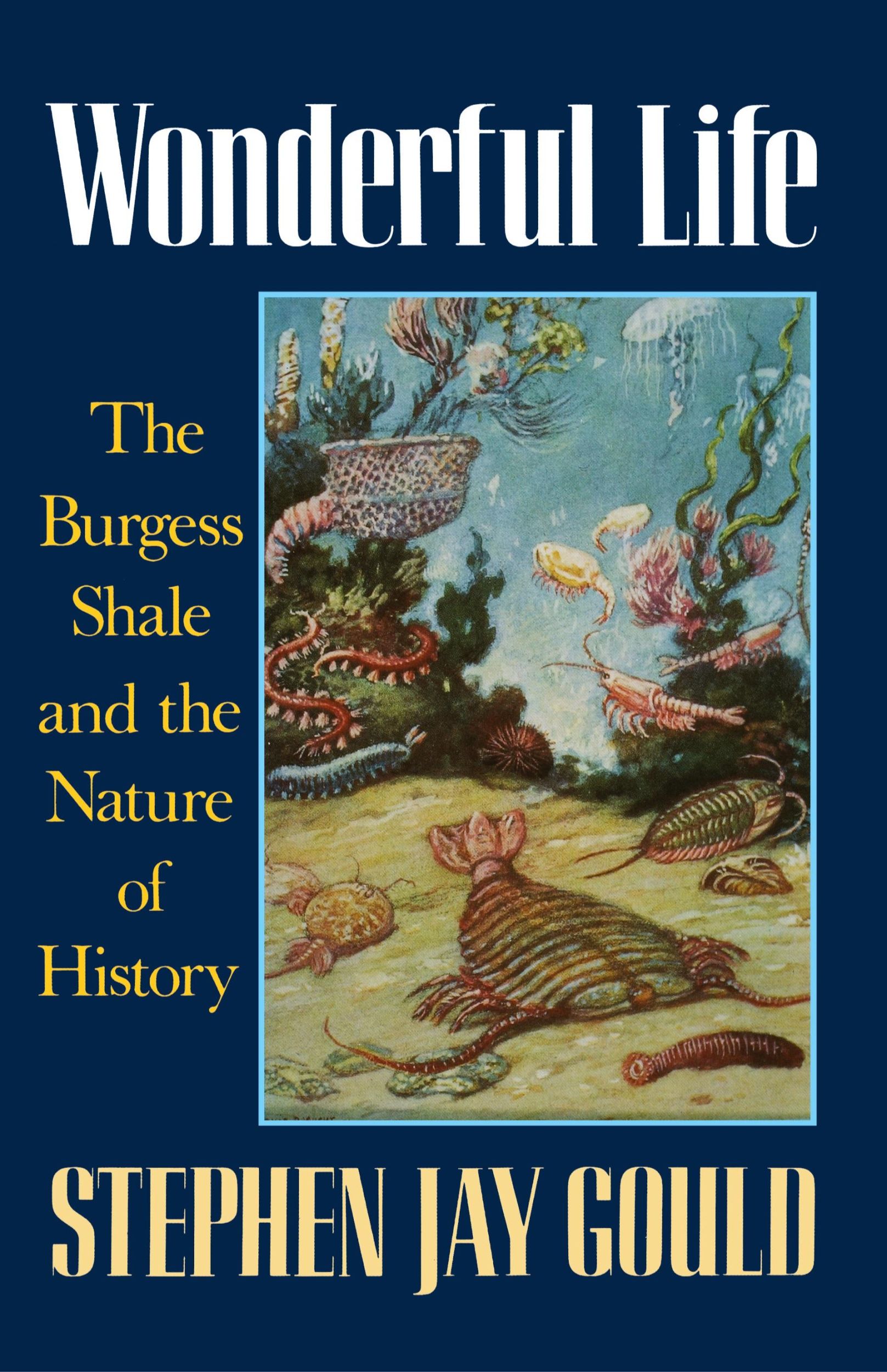 Cover: 9780393027051 | Wonderful Life | The Burgess Shale and the Nature of History | Gould