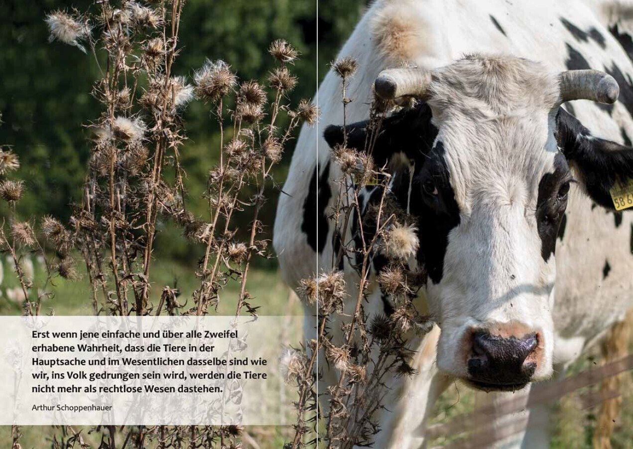 Bild: 9783946723714 | Lebensfreude Nr. 2 | Vegan bringt Freude ins Leben | Goeb-Kümmel