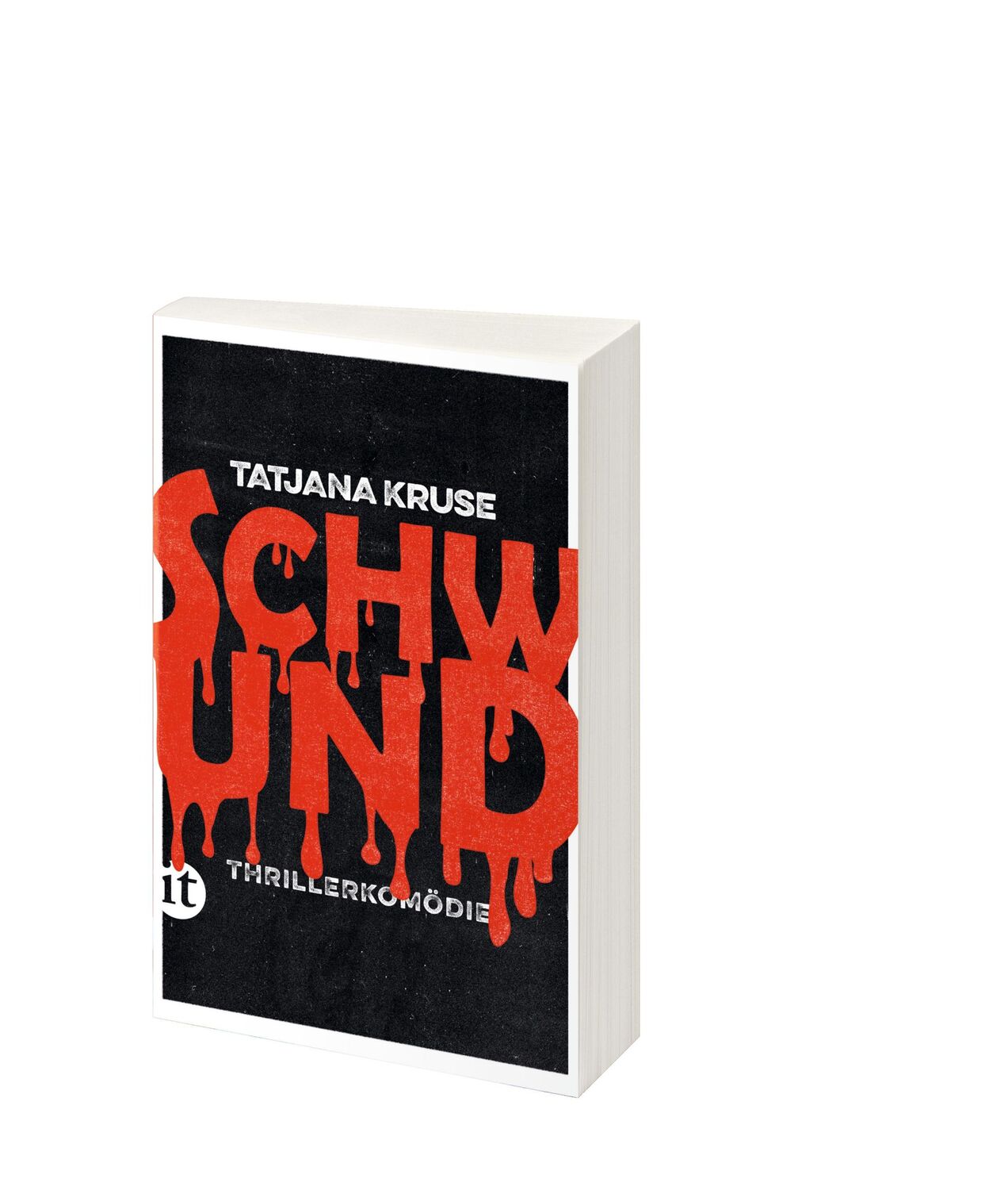 Bild: 9783458681564 | Schwund | Ein Thriller, aber in heiter | Tatjana Kruse | Taschenbuch