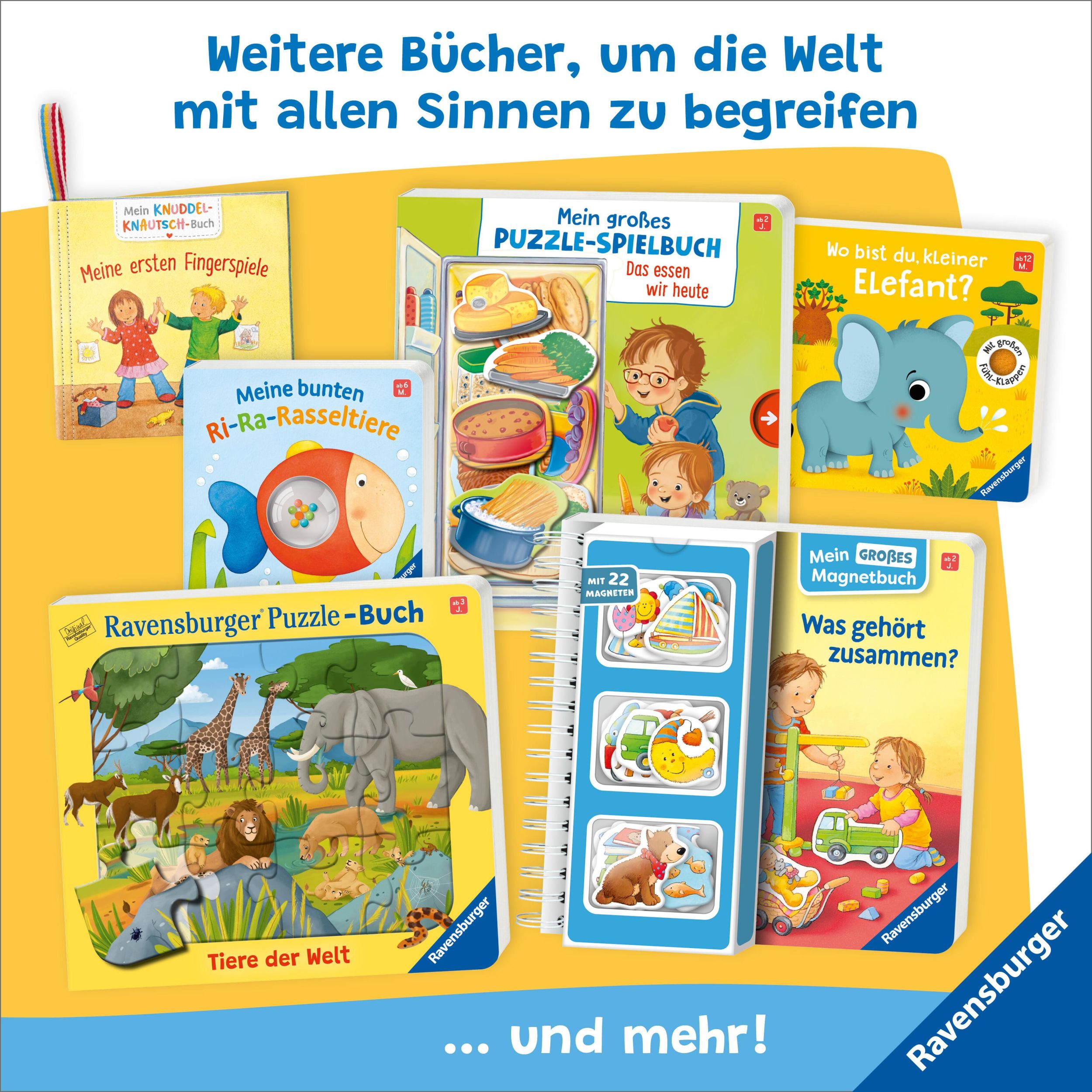 Bild: 9783473421695 | Mein erstes Buggybuch: Fühl mal! Lieblingstiere | Ava-Barb Yaga | Buch