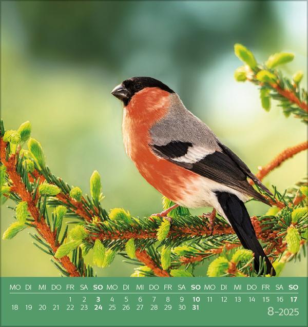 Bild: 9783731876755 | Vögel unserer Heimat 2025 | Verlag Korsch | Kalender | 13 S. | Deutsch