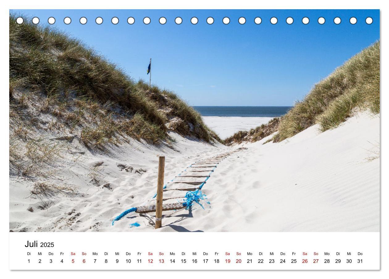 Bild: 9783383896651 | Amrum - Das Paradies in der Nordsee (Tischkalender 2025 DIN A5...