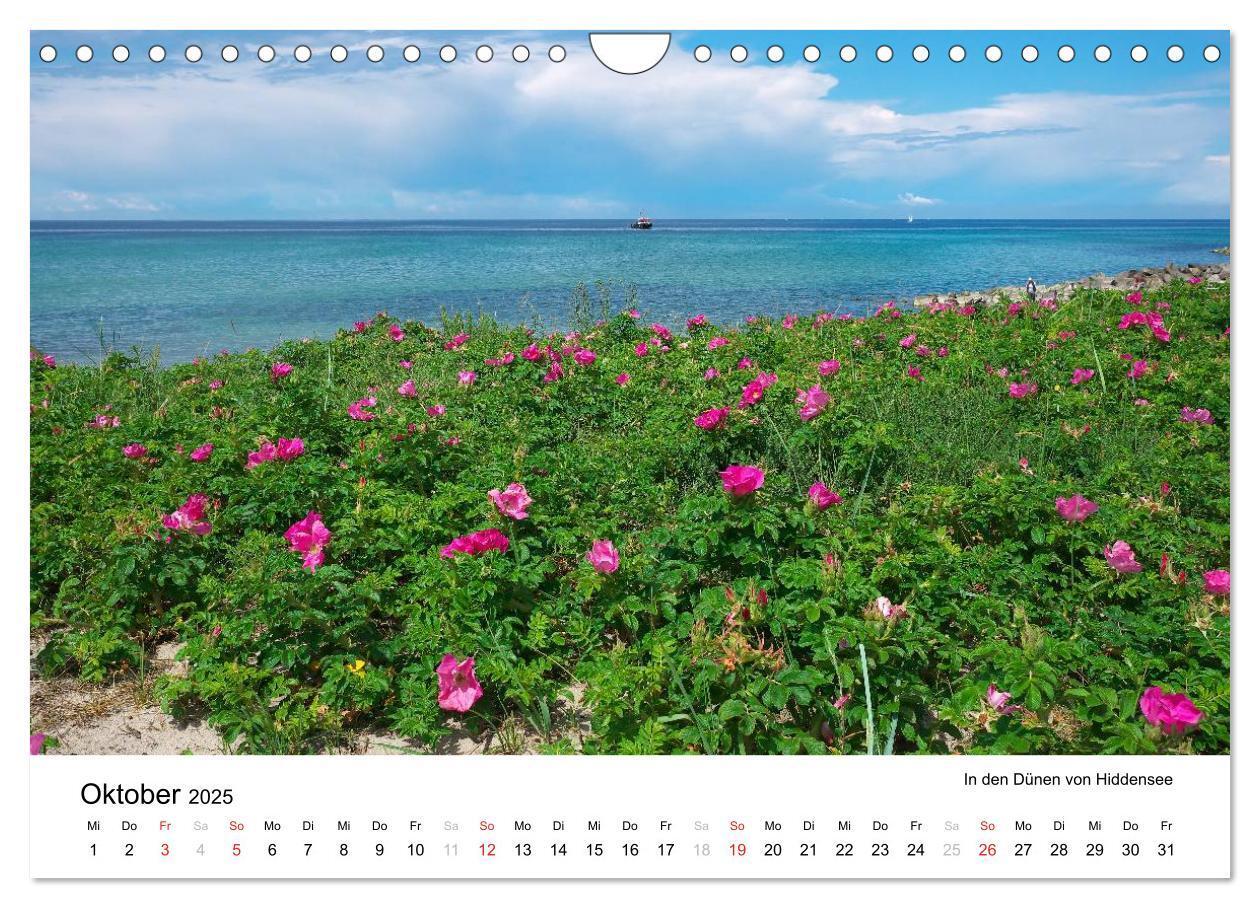 Bild: 9783435693924 | Rügen und Hiddensee (Wandkalender 2025 DIN A4 quer), CALVENDO...