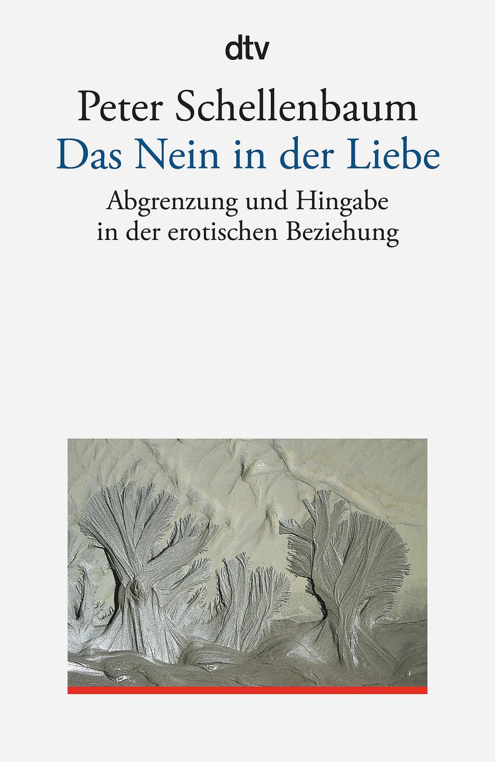 Cover: 9783423350235 | Das Nein in der Liebe | Peter Schellenbaum | Taschenbuch | Deutsch