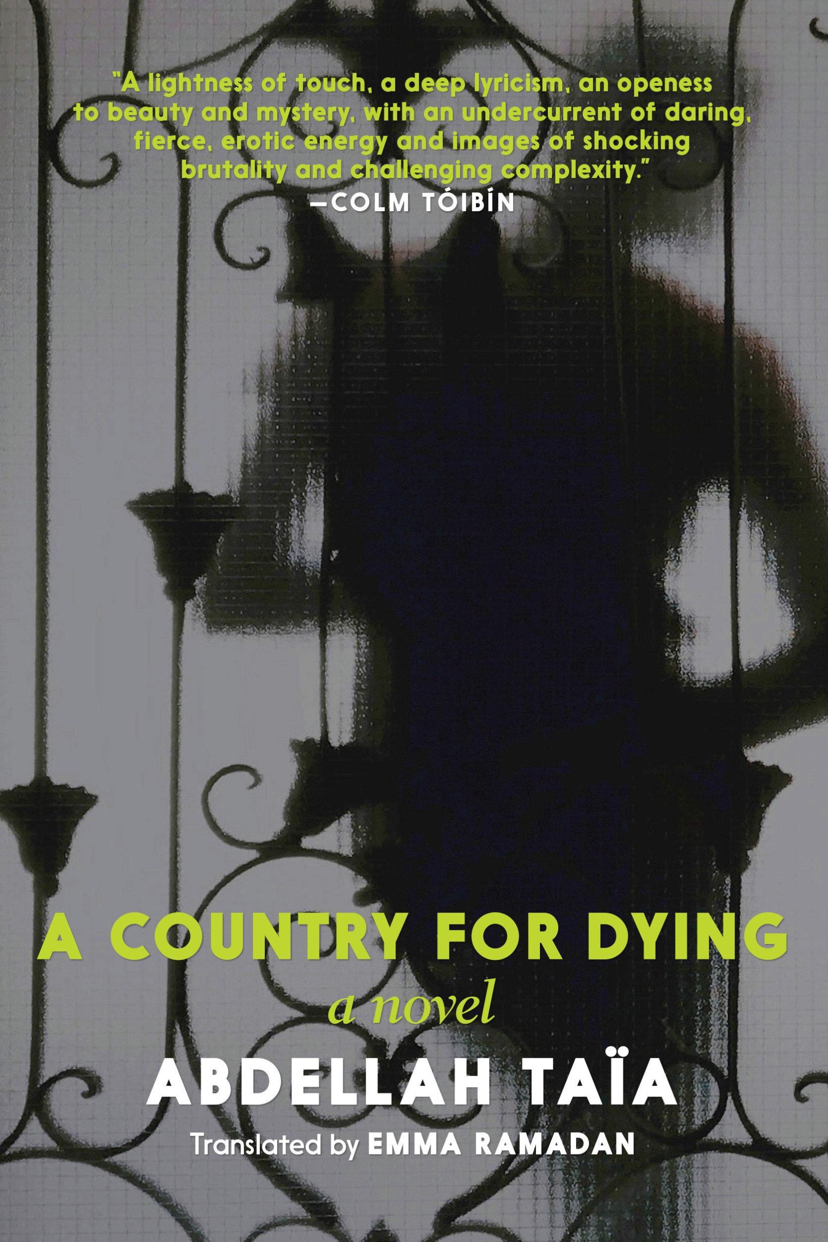 Cover: 9781609809904 | A Country for Dying | Abdellah Taia | Taschenbuch | Englisch | 2020