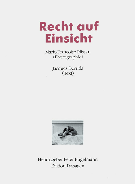 Cover: 9783851650082 | Recht auf Einsicht | Edition Passagen 1 | Plissart | Taschenbuch