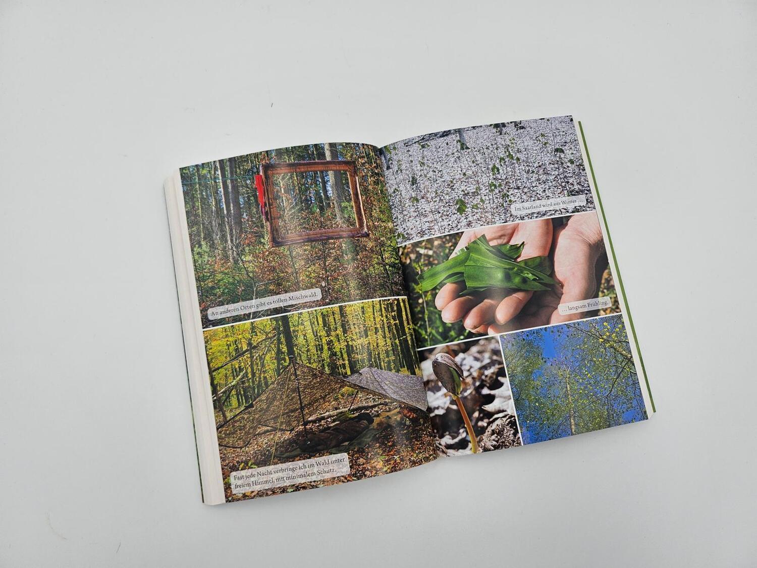 Bild: 9783492406703 | Der Waldwanderer | Gerald Klamer | Taschenbuch | 272 S. | Deutsch