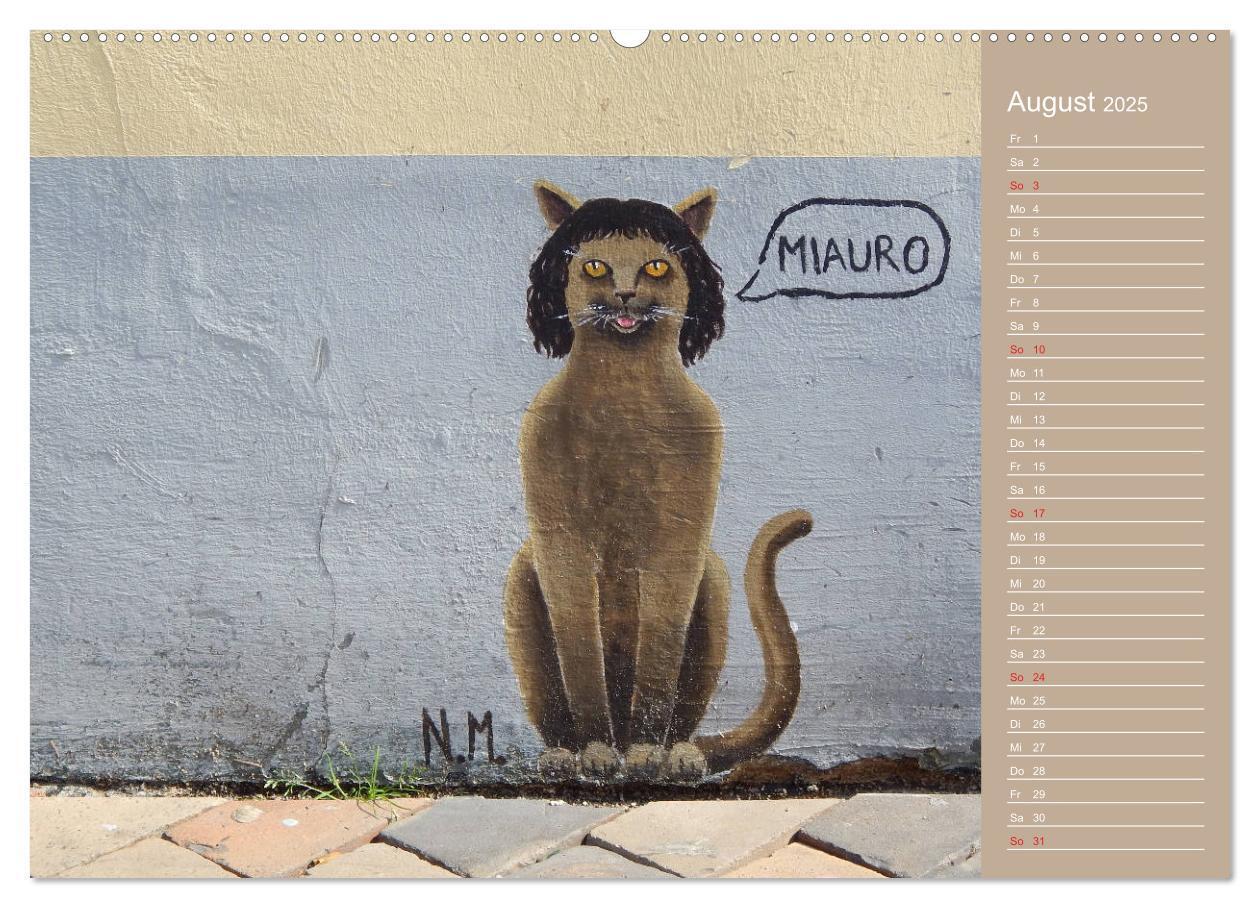 Bild: 9783435289691 | Flensburger Katzen (Wandkalender 2025 DIN A2 quer), CALVENDO...