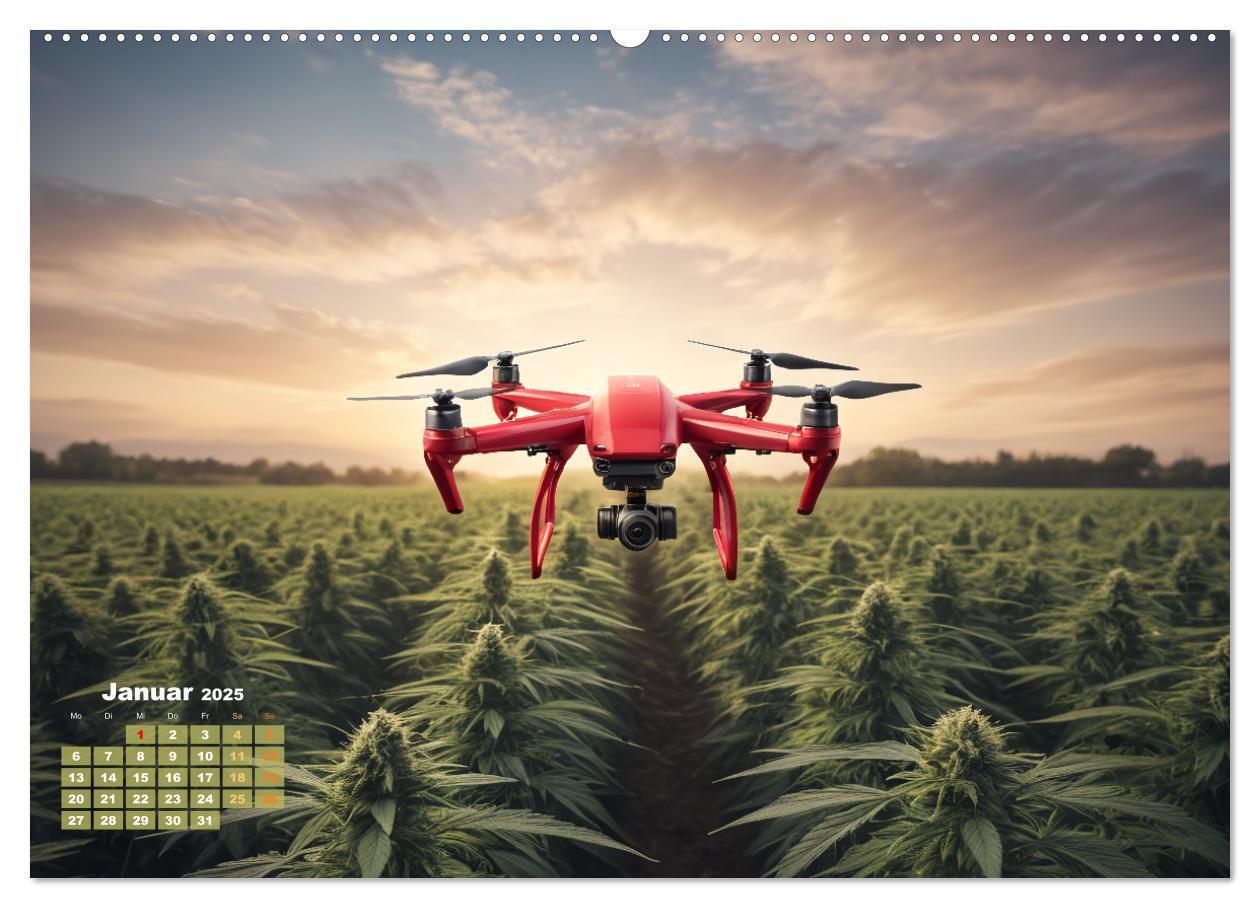 Bild: 9783383807190 | Wunderschöne Cannabisfelder (Wandkalender 2025 DIN A2 quer),...