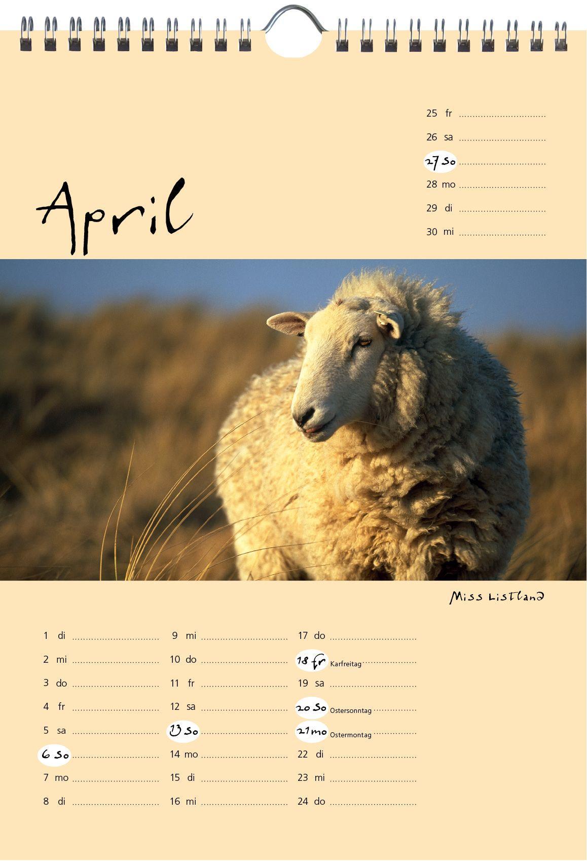 Bild: 9783944498591 | Sylt-die Insel 2025 A4 Kalender | Gernot Westendorf | Kalender | 2025