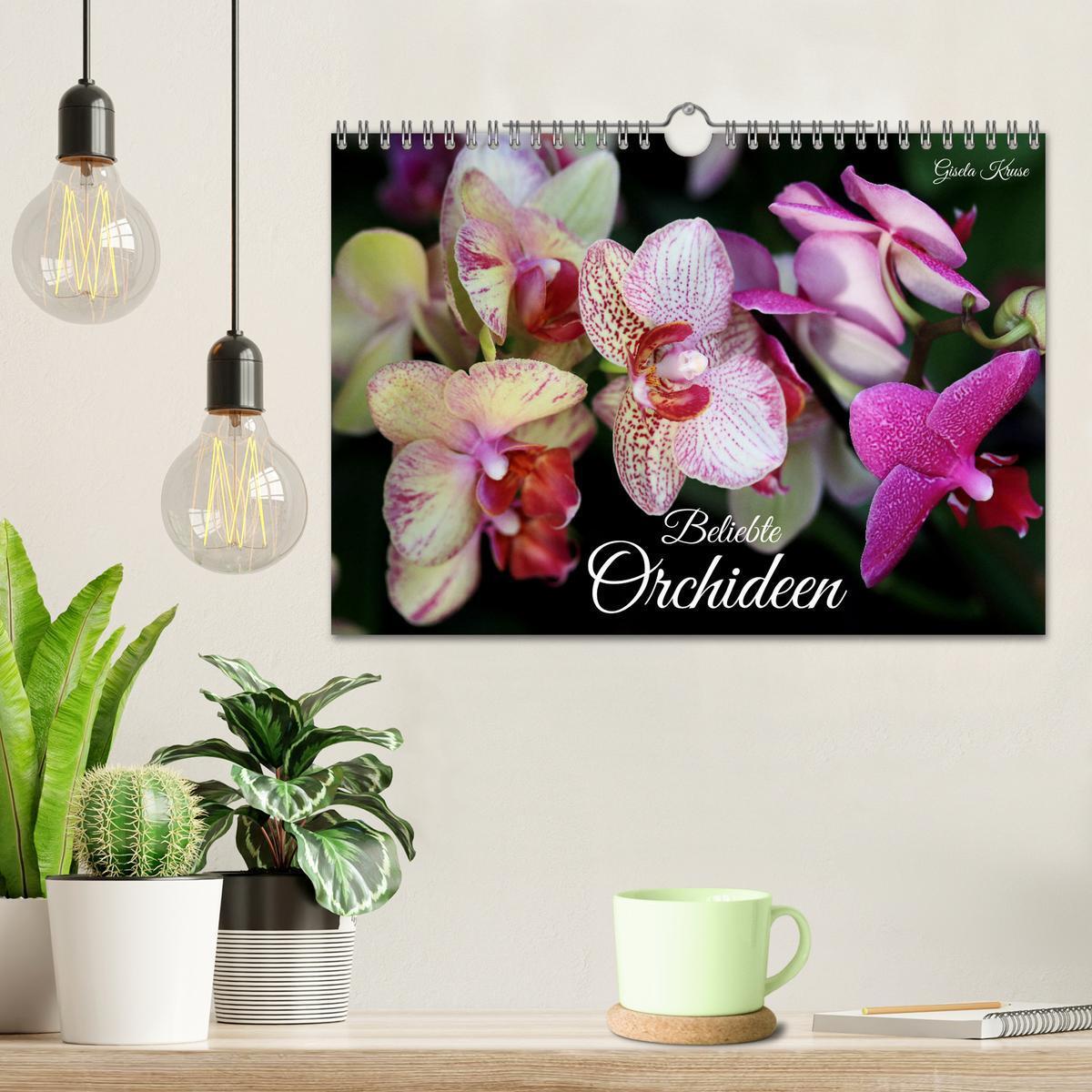 Bild: 9783383765049 | Beliebte Orchideen (Wandkalender 2025 DIN A4 quer), CALVENDO...