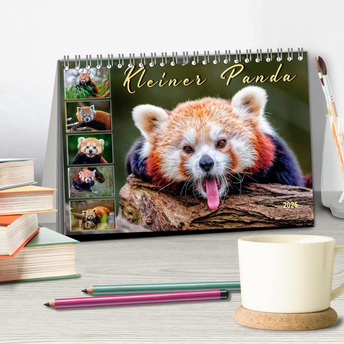 Bild: 9783435436101 | Kleiner Panda (Tischkalender 2025 DIN A5 quer), CALVENDO...