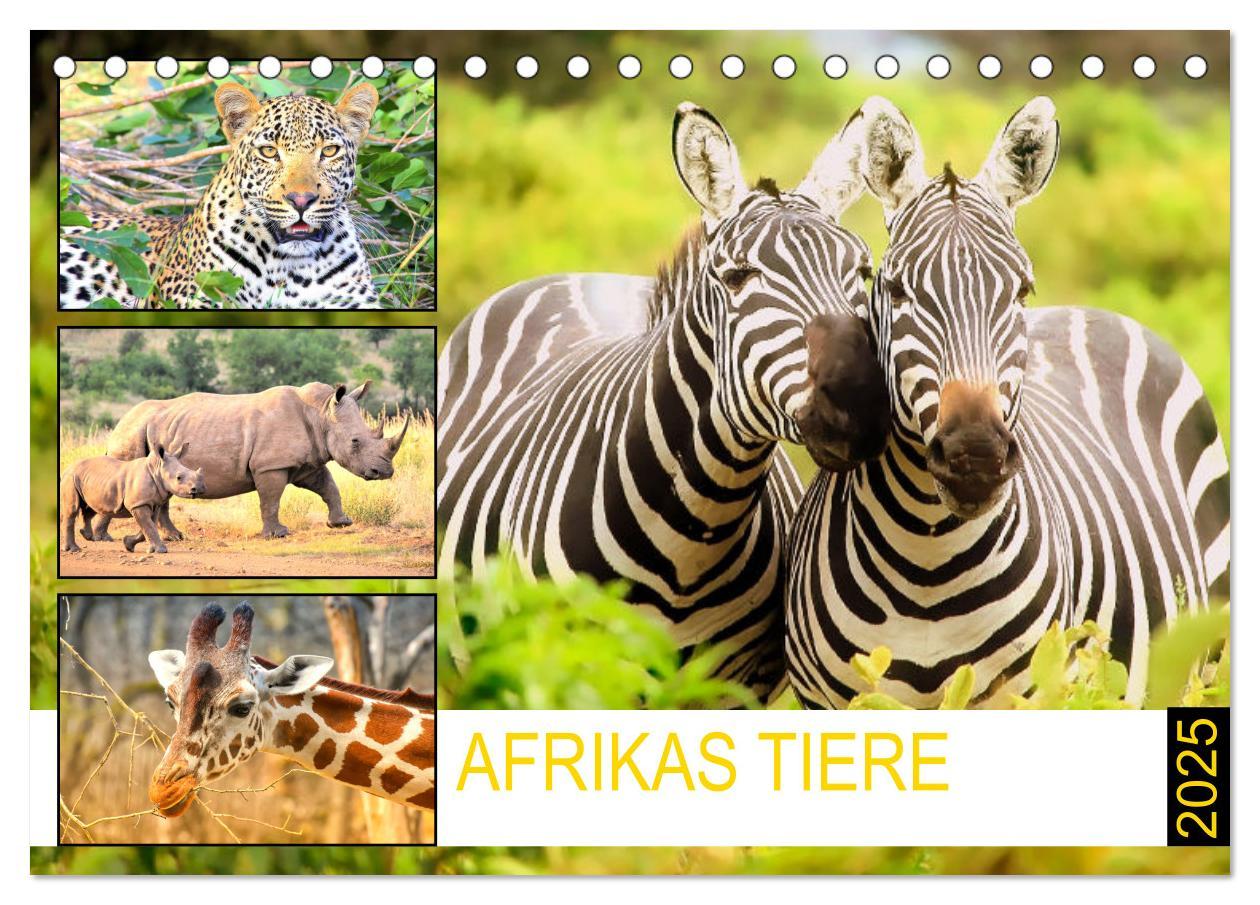 Cover: 9783435088874 | Afrikas Tiere. Majestäten in exotischer Wildnis (Tischkalender 2025...