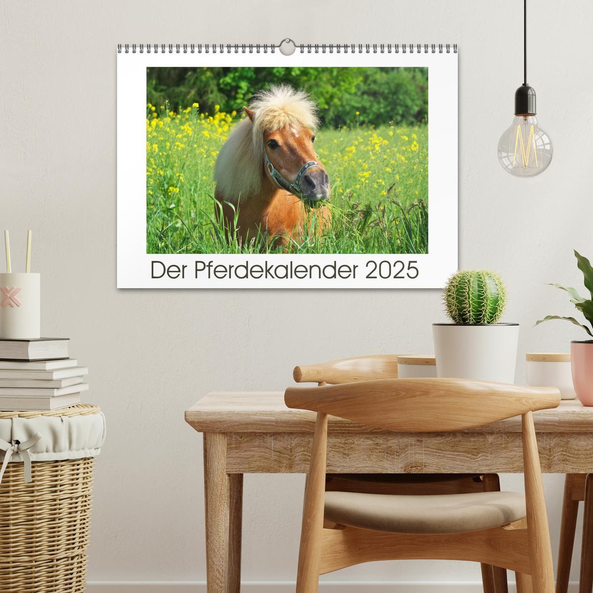 Bild: 9783435694525 | Der Pferdekalender (Wandkalender 2025 DIN A3 quer), CALVENDO...