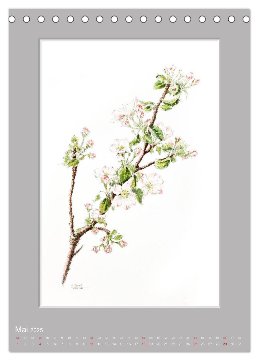 Bild: 9783457008317 | Alpenblumen Aquarelle aus Tirol (Tischkalender 2025 DIN A5 hoch),...