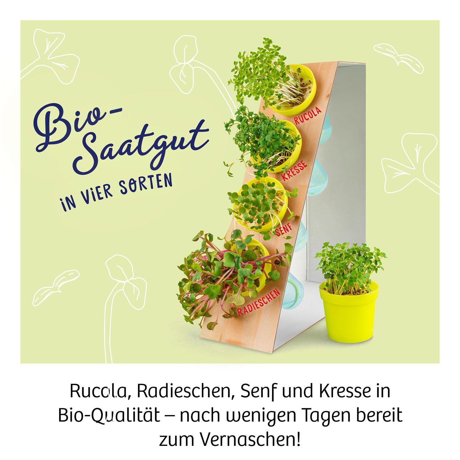 Bild: 4002051636135 | Microgreen-Garten | Experimentierkasten | Spiel | Deutsch | 2022