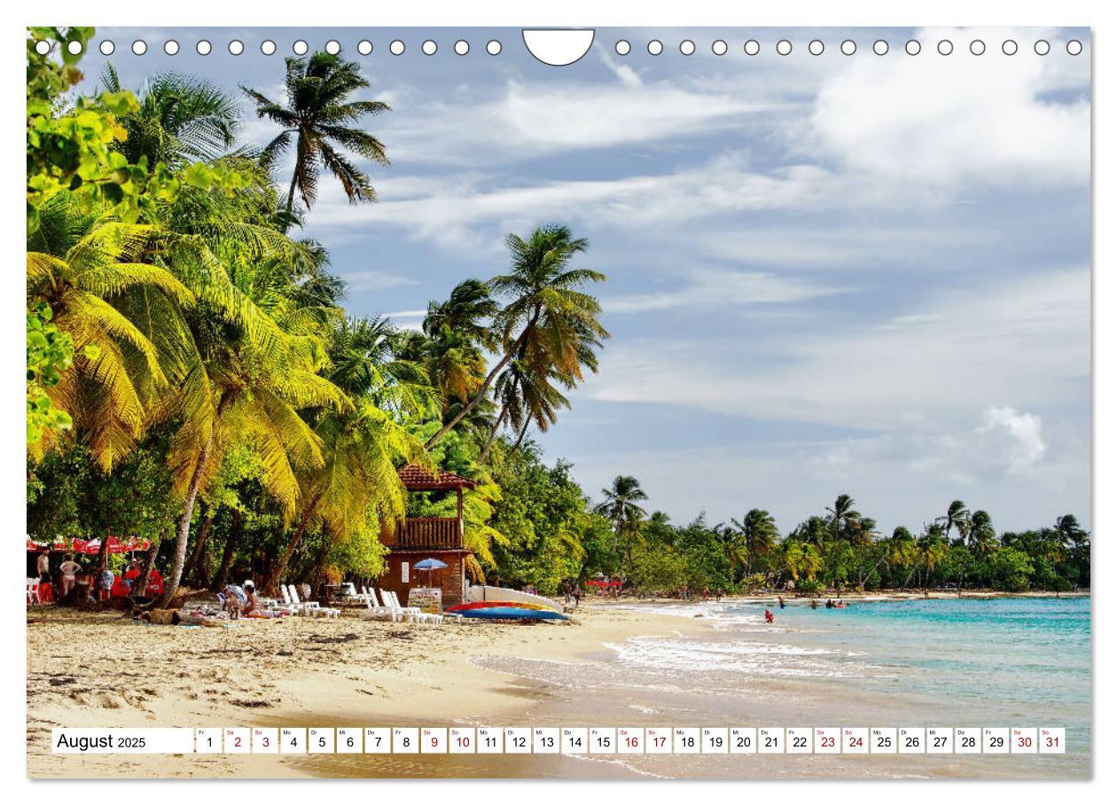 Bild: 9783435380435 | Martinique, die Traumstrände (Wandkalender 2025 DIN A4 quer),...