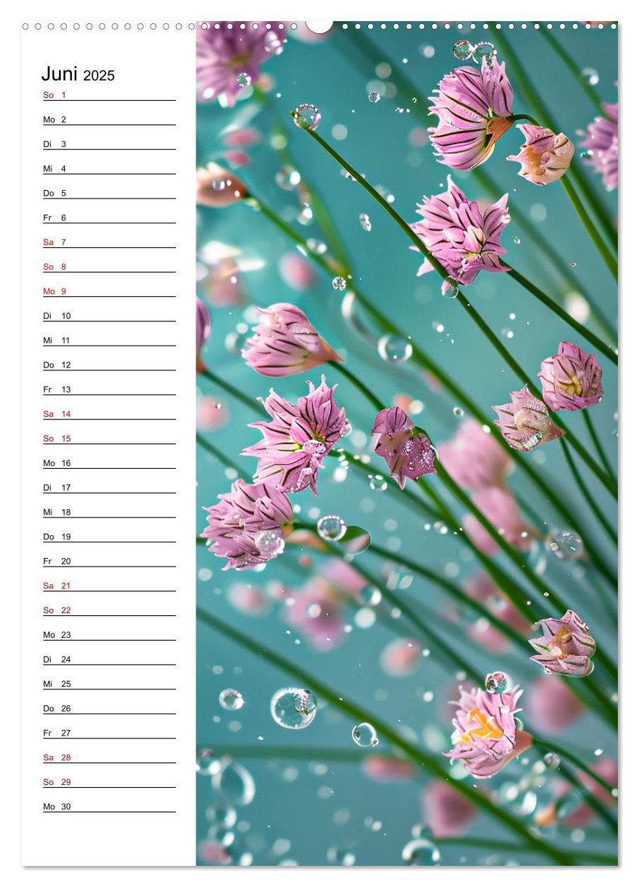 Bild: 9783457140680 | Kräuterfrische (hochwertiger Premium Wandkalender 2025 DIN A2...