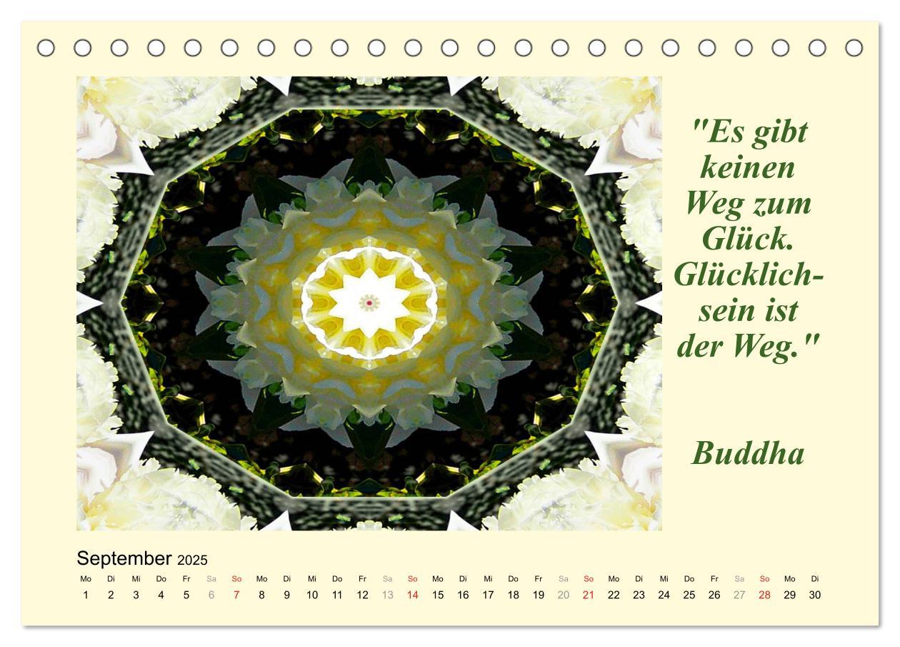 Bild: 9783435722341 | Meditation - Asiatische Weisheiten (Tischkalender 2025 DIN A5...