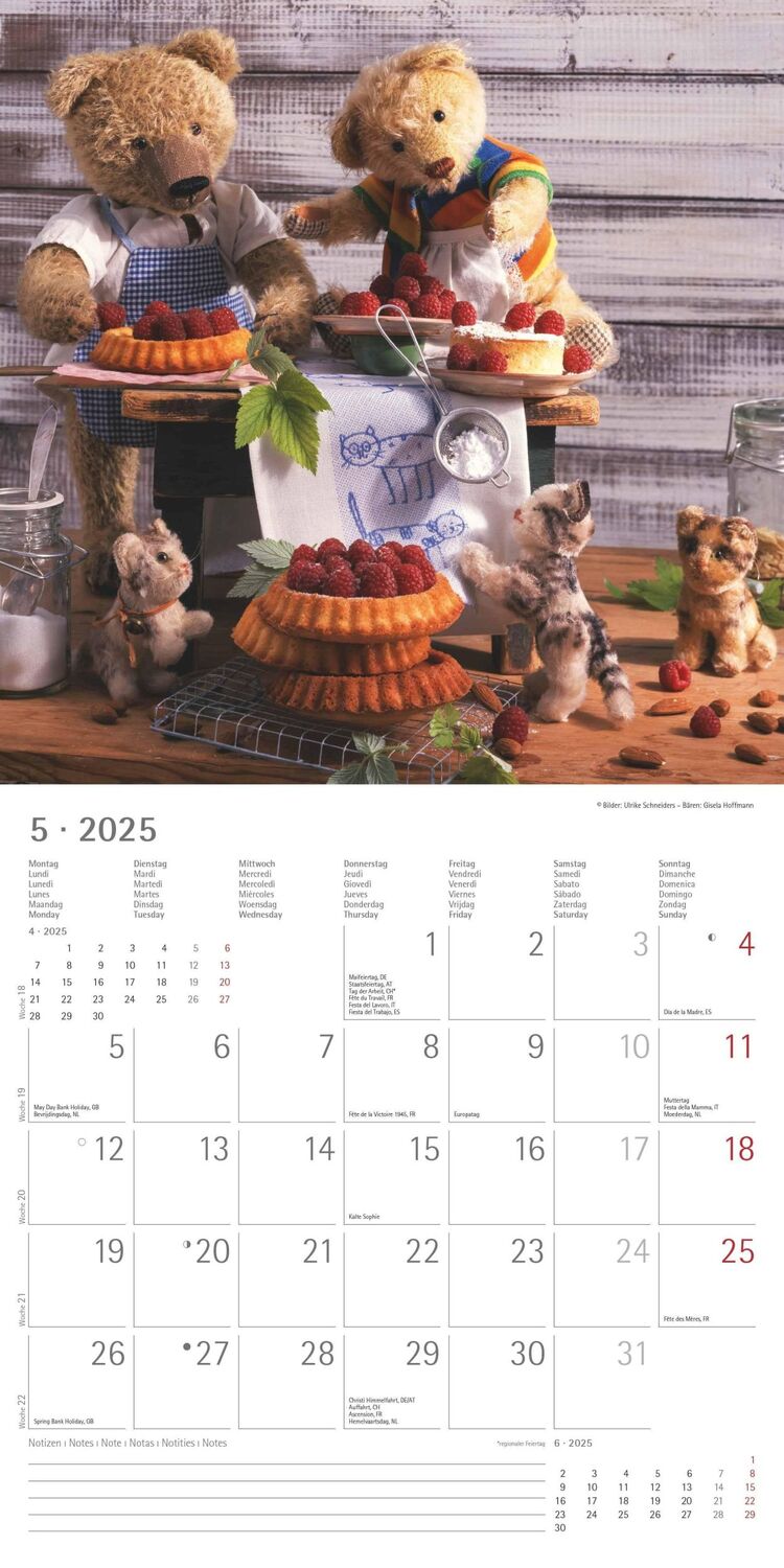 Bild: 4251732340643 | Teddy 2025 - Broschürenkalender 30x30 cm (30x60 geöffnet) -...