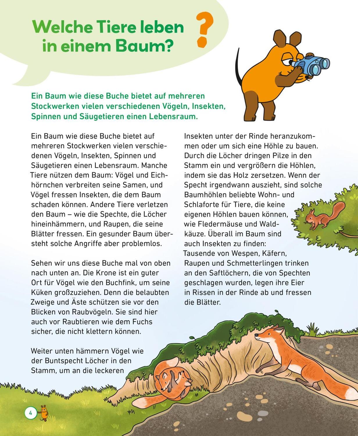 Bild: 9783551253668 | Frag doch mal ... die Maus: Wald | Gabi Neumayer | Buch | 64 S. | 2023