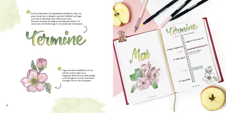 Bild: 9783862304264 | Brushpens | Handlettering &amp; Illustrationen | Nina Rötters | Buch