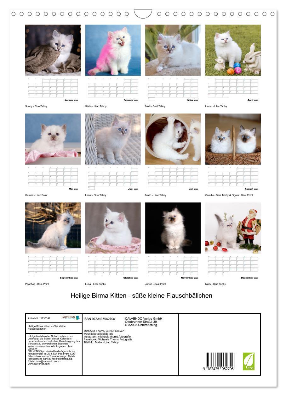 Bild: 9783435062706 | Heilige Birma Kitten - süße kleine Flauschbällchen (Wandkalender...