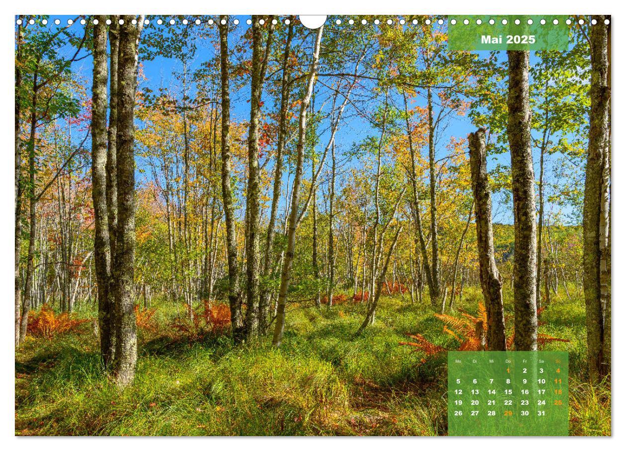 Bild: 9783435336029 | New England - Vielfalt einer Region (Wandkalender 2025 DIN A3...