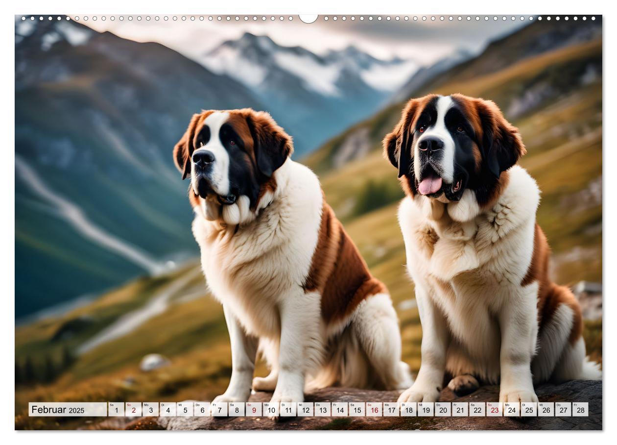 Bild: 9783457221761 | Gigant Bernhardiner (hochwertiger Premium Wandkalender 2025 DIN A2...