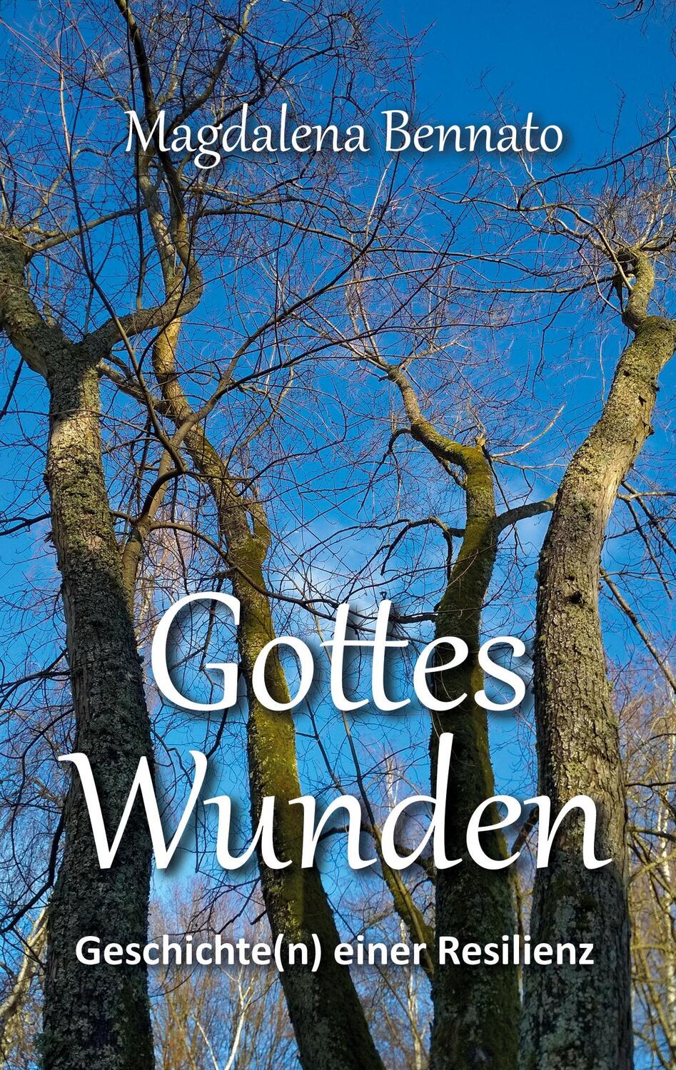 Cover: 9783347260061 | Gottes Wunden | Geschichte(n) einer Resilienz | Magdalena Bennato