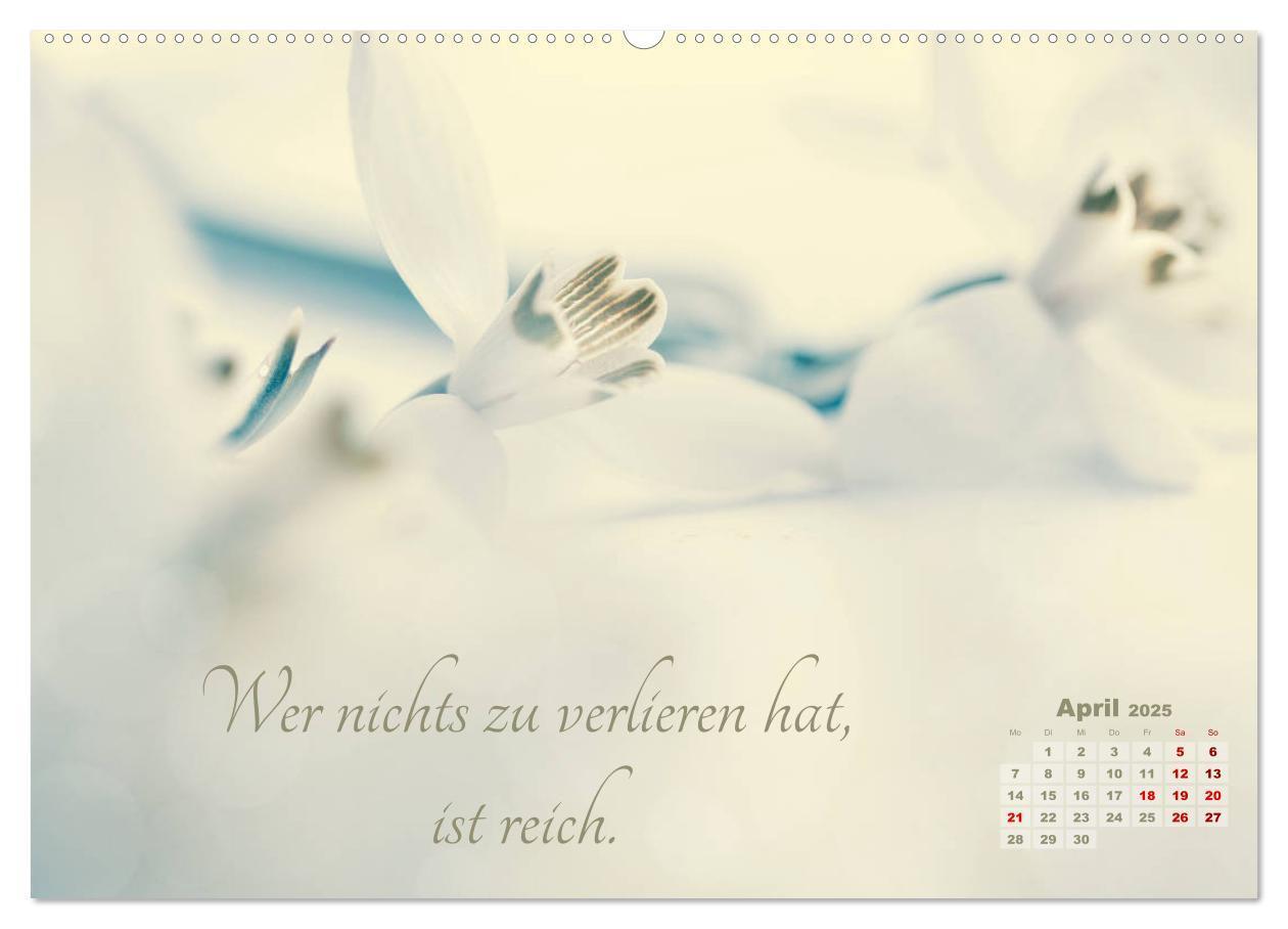 Bild: 9783435244874 | Chinesische Weisheiten (hochwertiger Premium Wandkalender 2025 DIN...