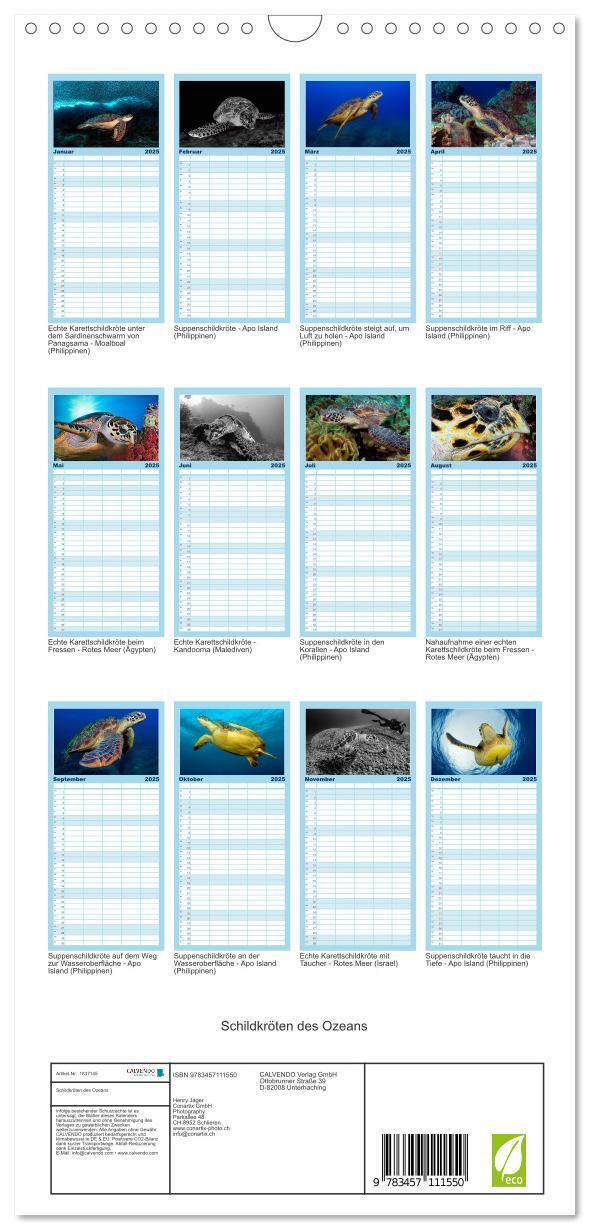 Bild: 9783457111550 | Familienplaner 2025 - Schildkröten des Ozeans mit 5 Spalten...