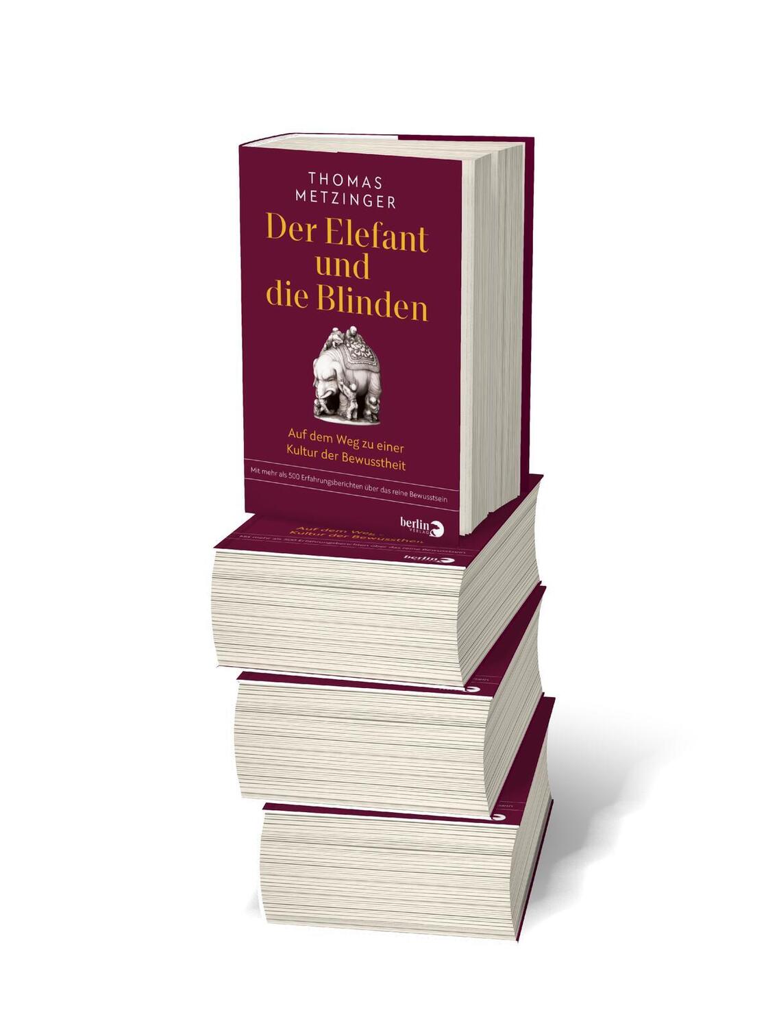 Bild: 9783827014870 | Der Elefant und die Blinden | Thomas Metzinger | Buch | 960 S. | 2023