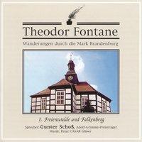 Cover: 9783934384019 | Freienwalde und Falkenberg, 1 Audio-CD | Theodor Fontane | CD | 2001