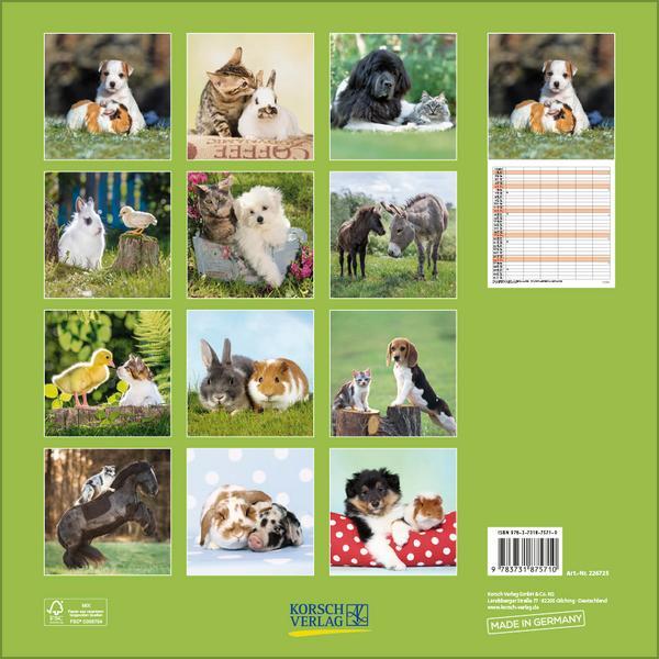 Bild: 9783731875710 | Tierfreundschaften - Familientimer 2025 | Verlag Korsch | Kalender