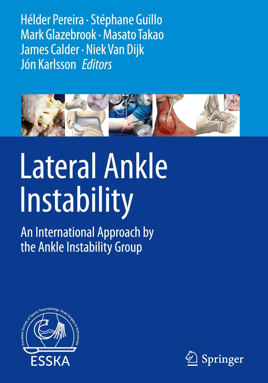 Cover: 9783662627624 | Lateral Ankle Instability | Hélder Pereira (u. a.) | Buch | xxvi