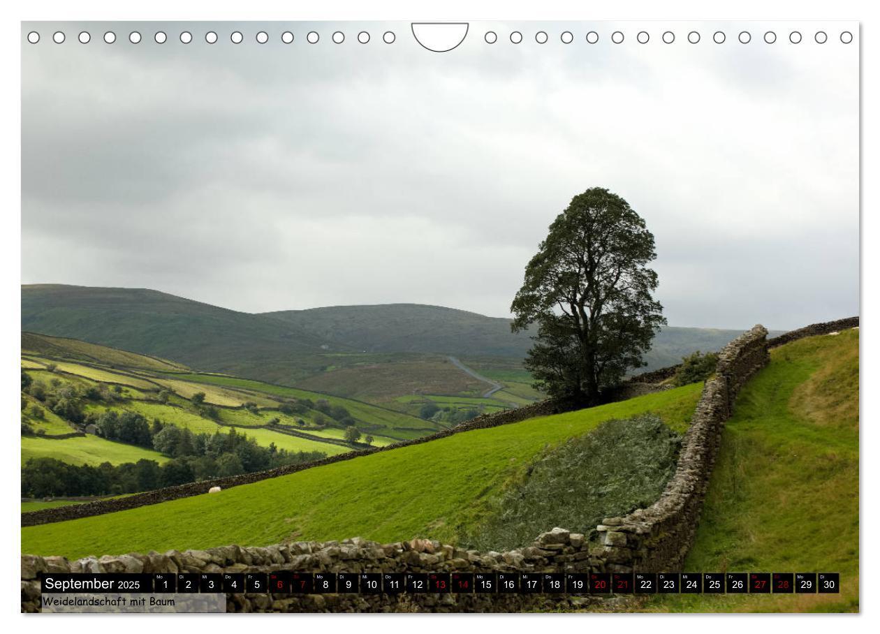 Bild: 9783435202034 | Traumhafte Yorkshire Dales (Wandkalender 2025 DIN A4 quer),...